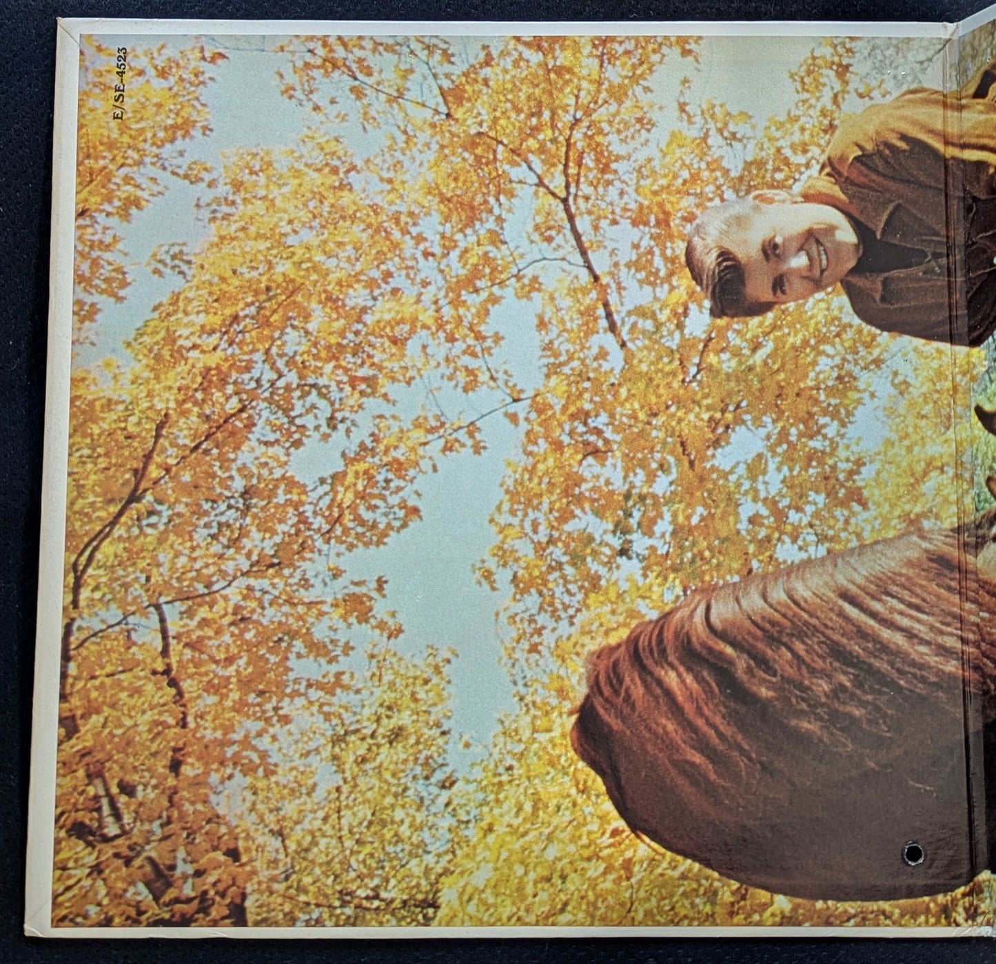 WAYNE NEWTON Walking On New Grass LP Vinyl Record 1968 MGM SE-4523 (VG Vinyl, VG Sleeve)