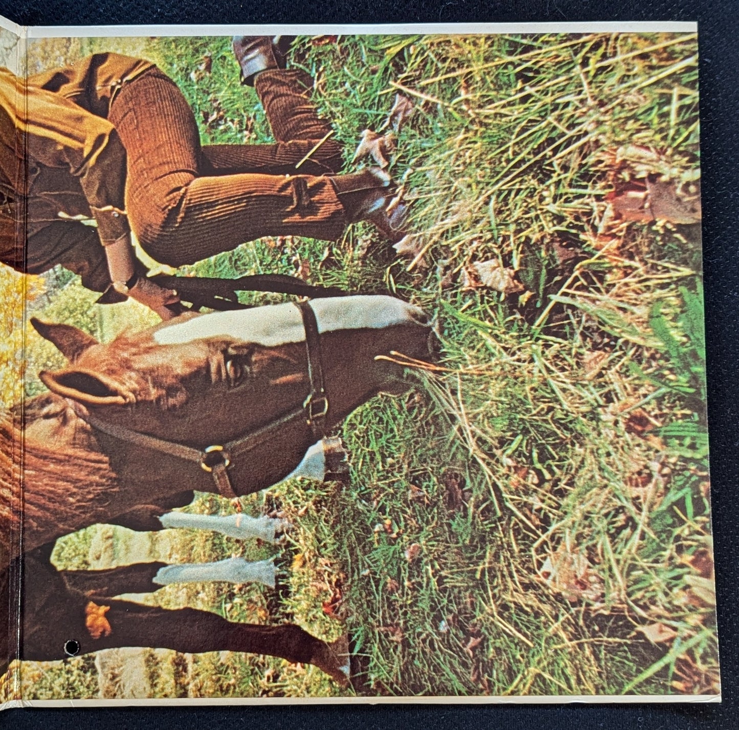 WAYNE NEWTON Walking On New Grass LP Vinyl Record 1968 MGM SE-4523 (VG Vinyl, VG Sleeve)